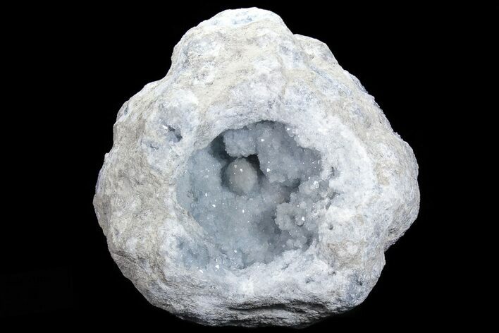 Blue Celestine (Celestite) Crystal Geode ( lbs) #74680